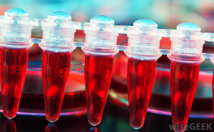 MOULANA HEALTH CARE TIRUR